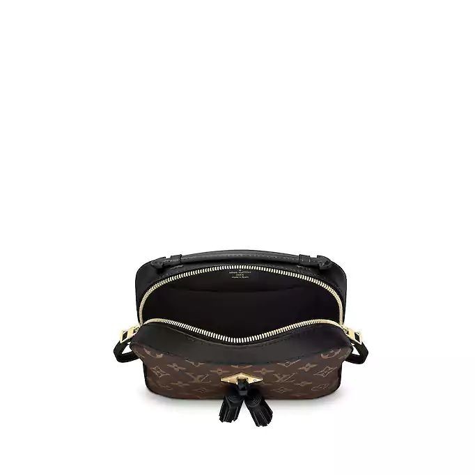 Saintonge M43555