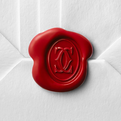 PANTHÈRE DE WATCH SMALL MOEDL