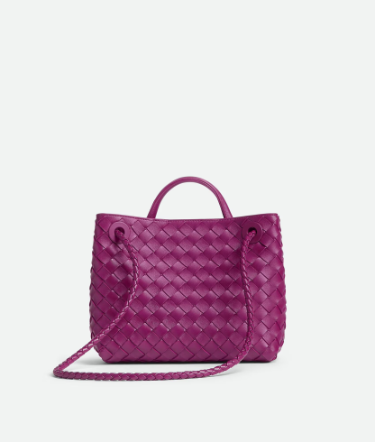 Bothtttega Vethtneta Andiamo Chain Bag