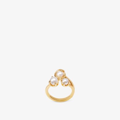 F is Ring