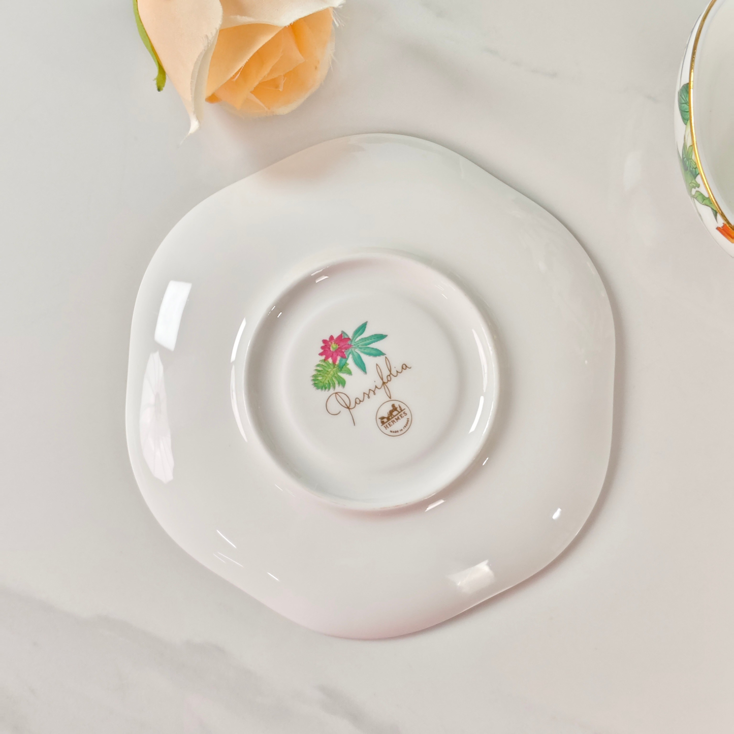 New Arrival 🔥 Herthtmès — "Tropical Rainforest" Teapot & Cup Set