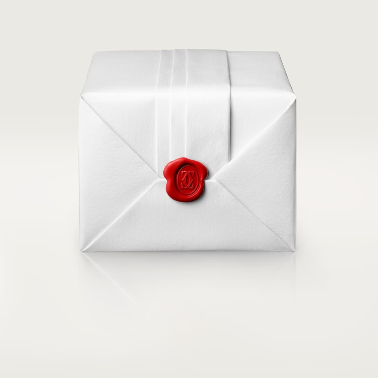 JUSTE UN CLOU EARRINGS