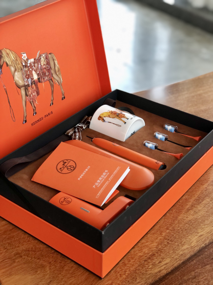 Her--mes Electric Toothbrush Gift Set