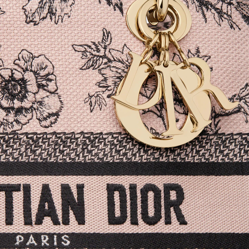 Dior painted handbag