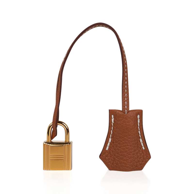 Birkin 25 Bag Gold Togo Leather Gold Hardware