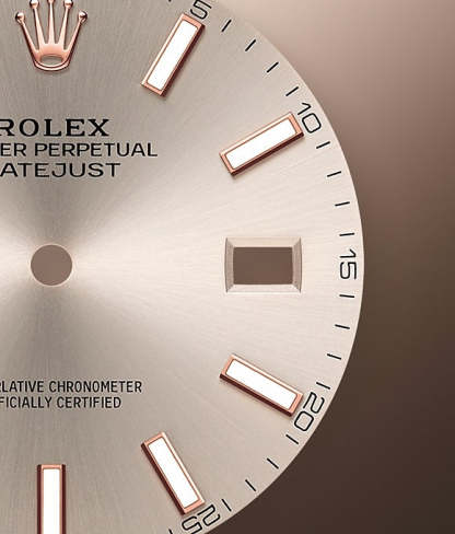 Datejust 41 Oystersteel and Everose gold Ref# 126331-0010