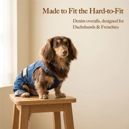 Denim Dog Overalls for Dachshund & French Bulldog | Repuuup Classic Jean Jumpsuit for Small Dogs （Especially for dachshund and french bull dogs)
