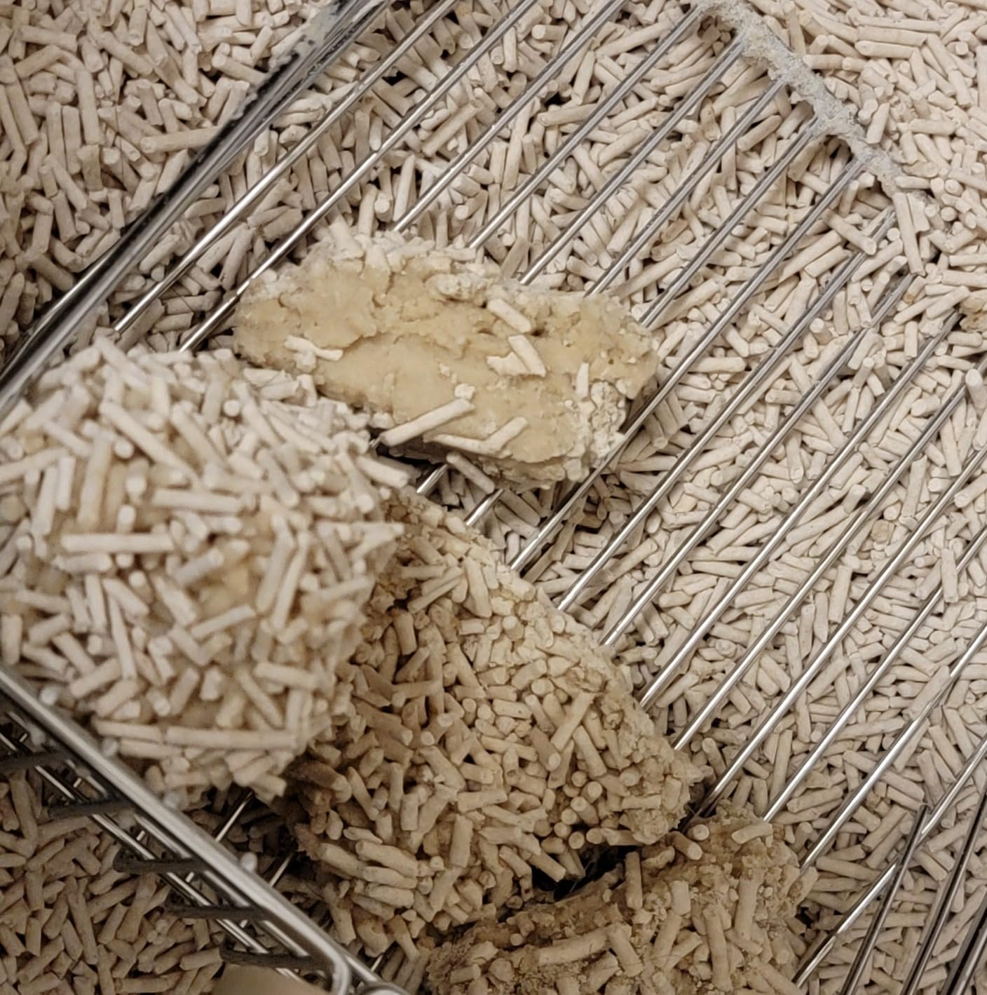 Litter in round litter box