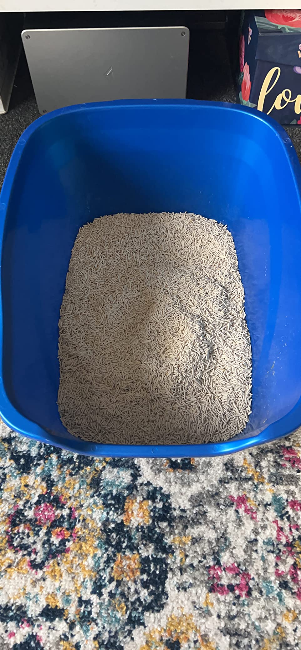 Tofu litter in blue litter box