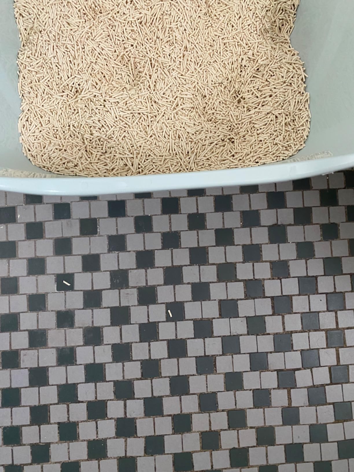 Tofu litter in clean litter box