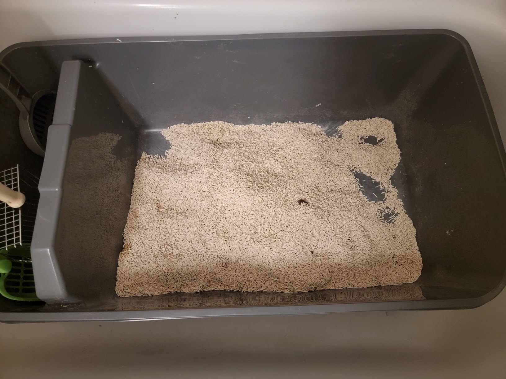 Clean litter box setup