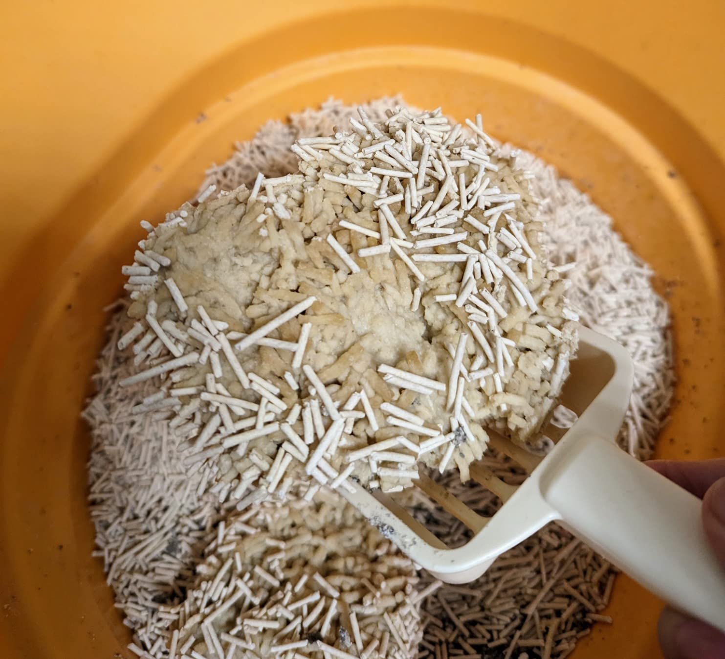 Litter box showing clumping after use