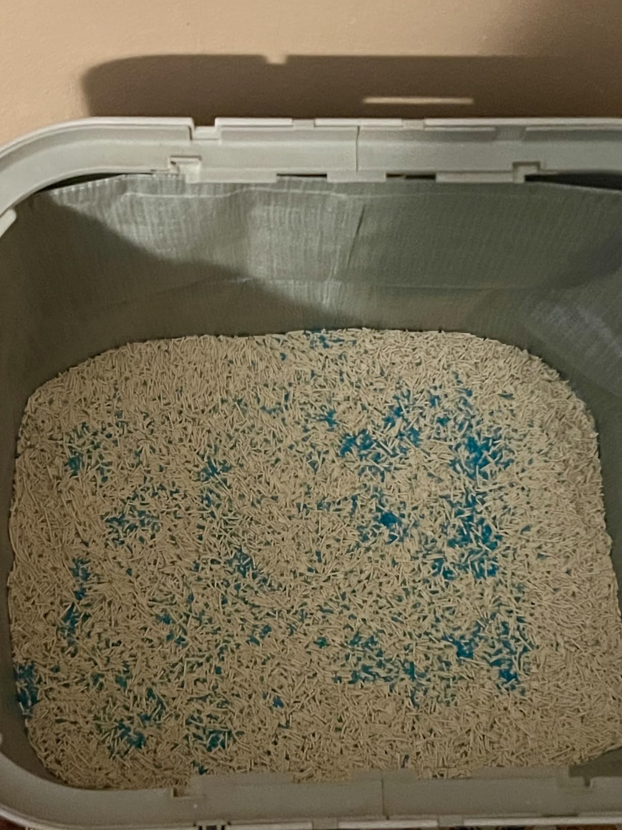 Litter box setup