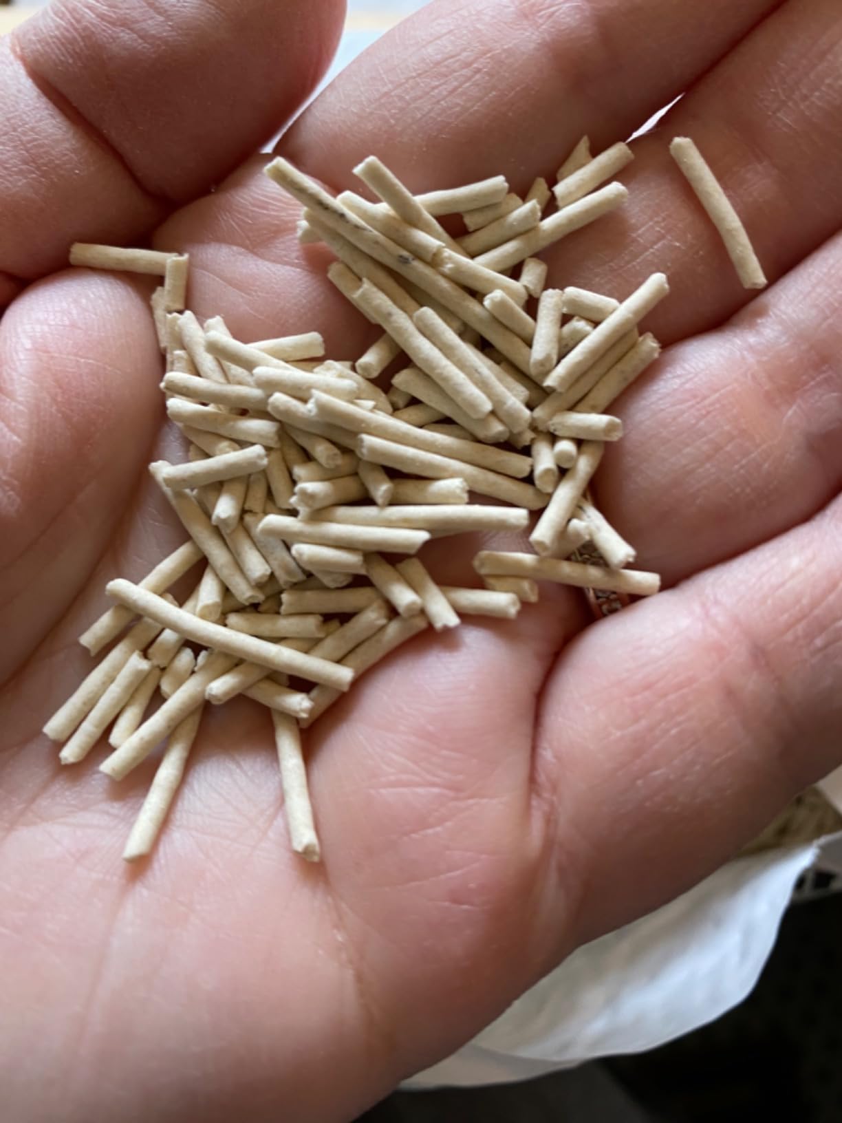 Tofu litter pellets close-up