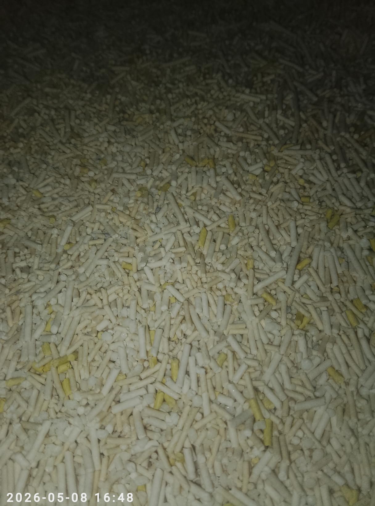Tofu litter pellets in hand