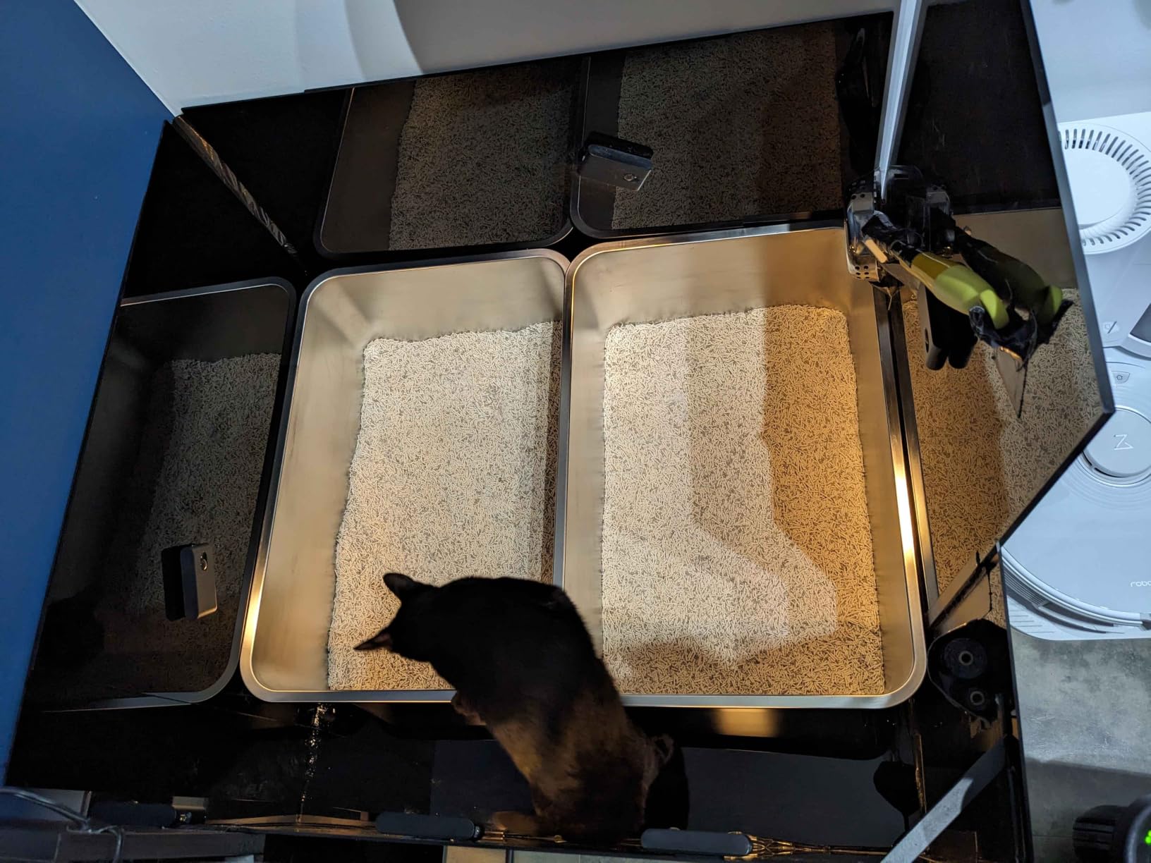 Multi-cat litter room setup