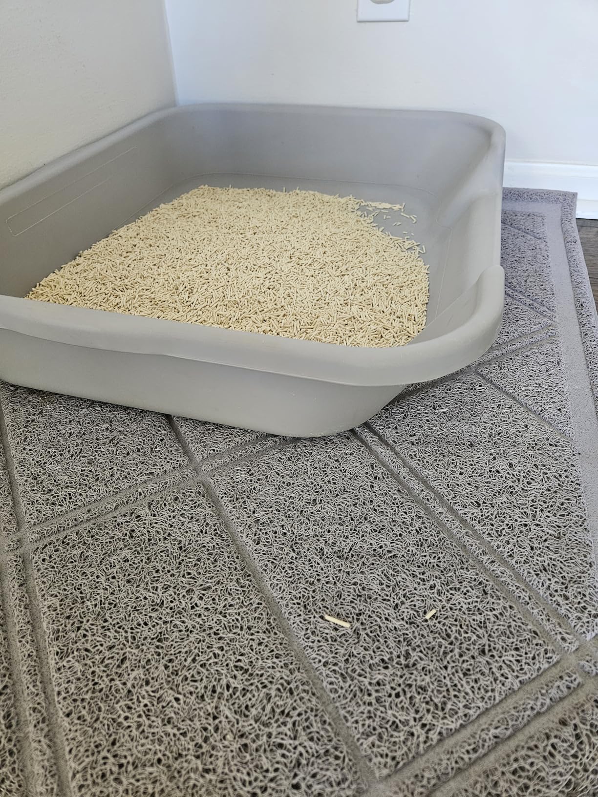 Litter box with entry step mat