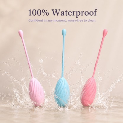 The Joybloom 5-Piece Progressive Weighted Kegel Ball Set
