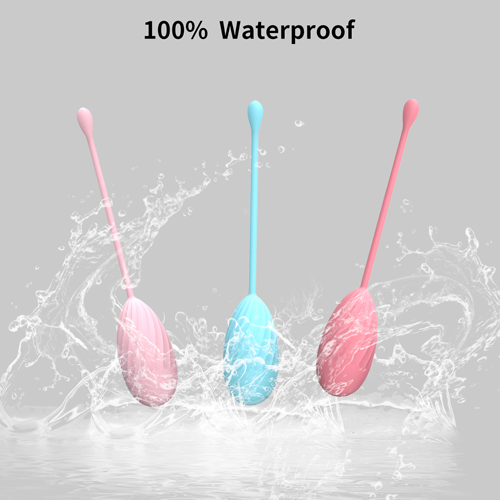 The Joybloom 5-Piece Progressive Weighted Kegel Ball Set