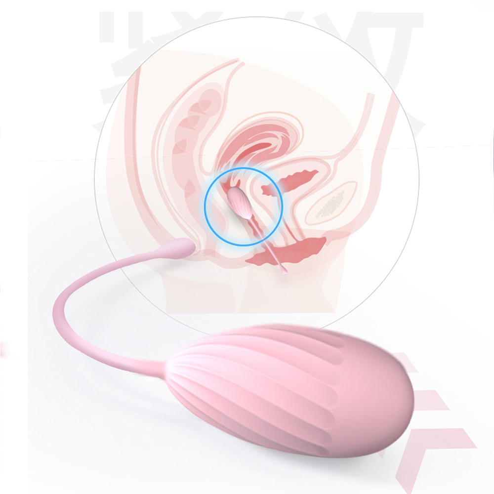 The Joybloom 5-Piece Progressive Weighted Kegel Ball Set