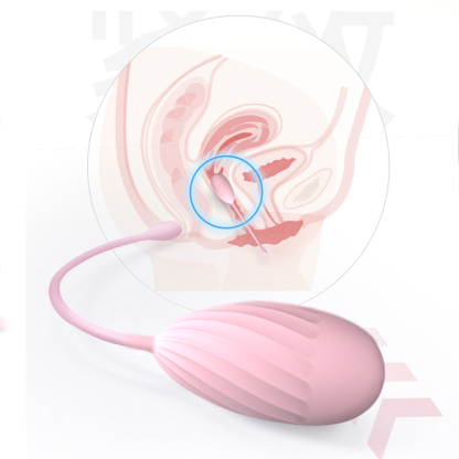 The Joybloom 5-Piece Progressive Weighted Kegel Ball Set