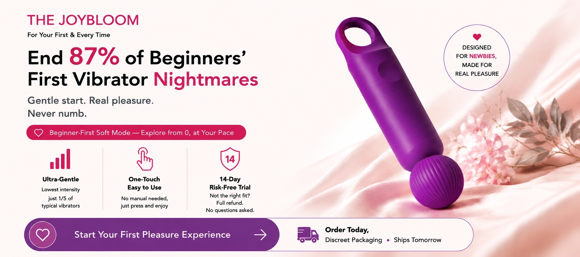 Sex Toys for Beginners​