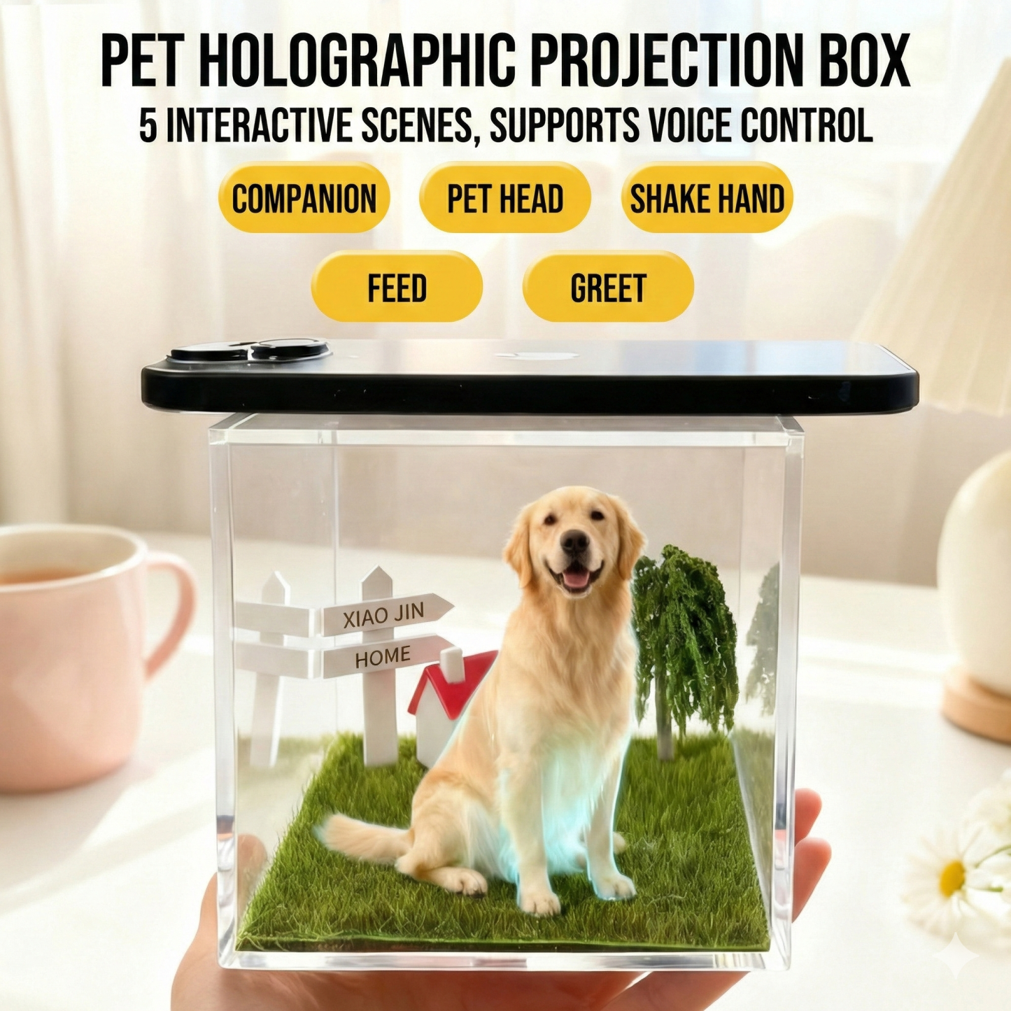 Pet holographic projection