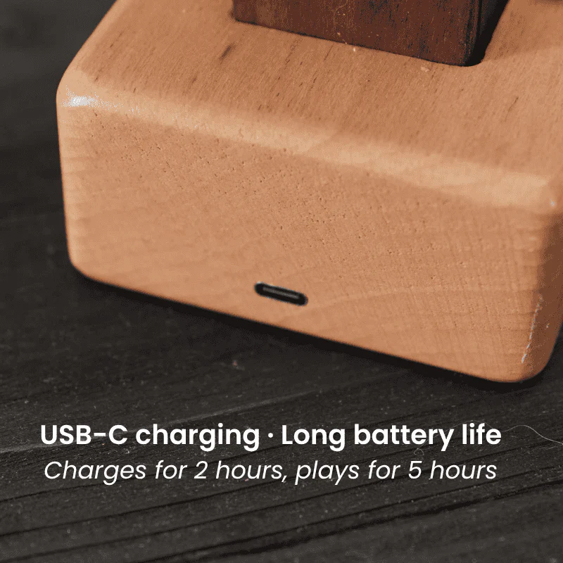 AquaRay  Handcrafted Wooden Automaton