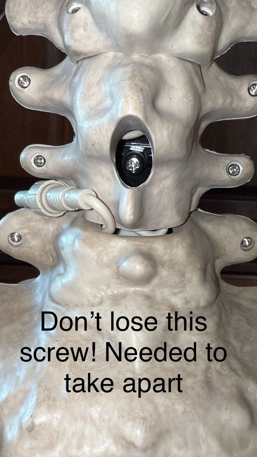 Early Bird Halloween Special 6.5 ft Grave & Bones Animated LED