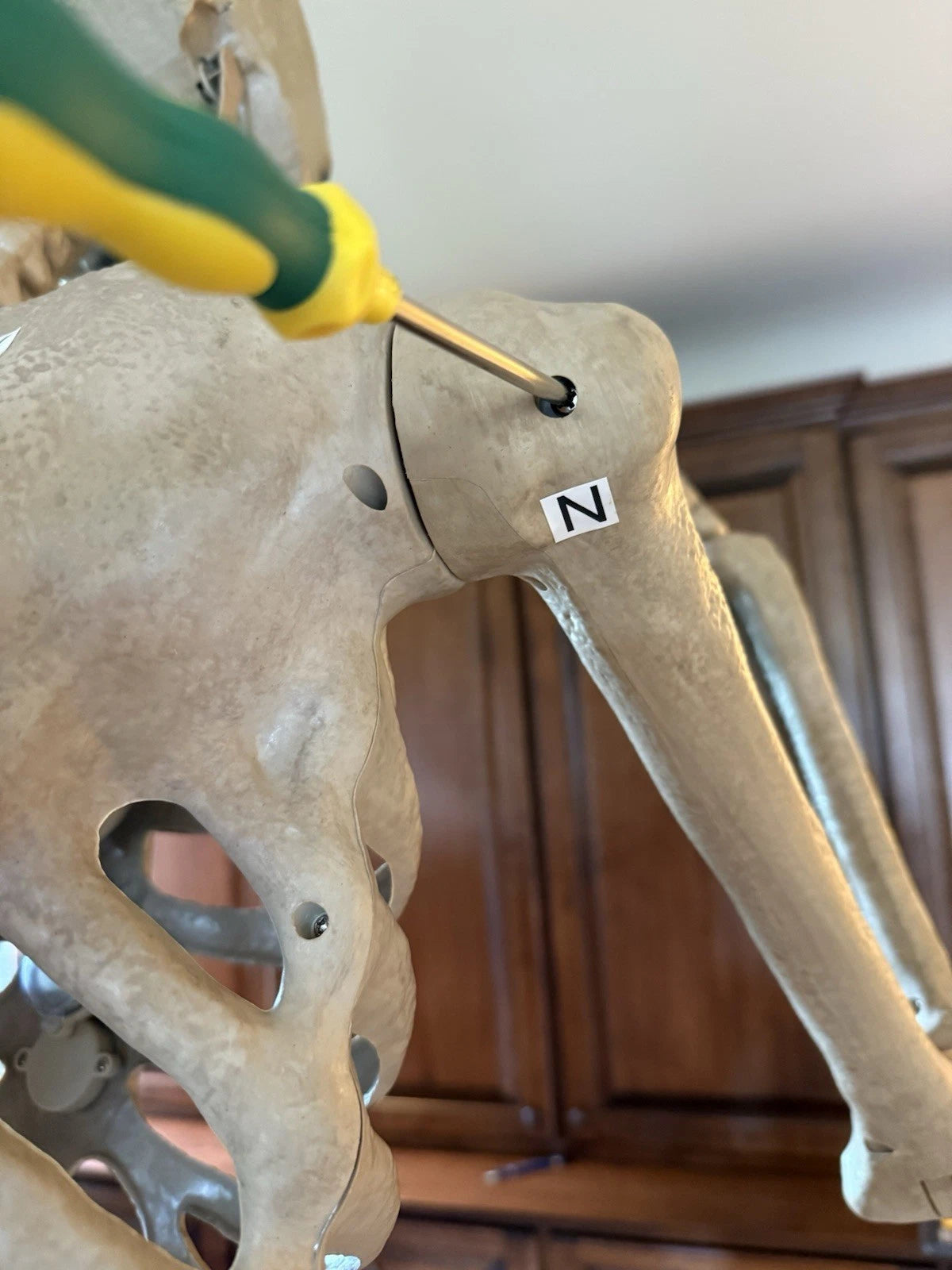 Early Bird Halloween Special 6.5 ft Grave & Bones Animated LED