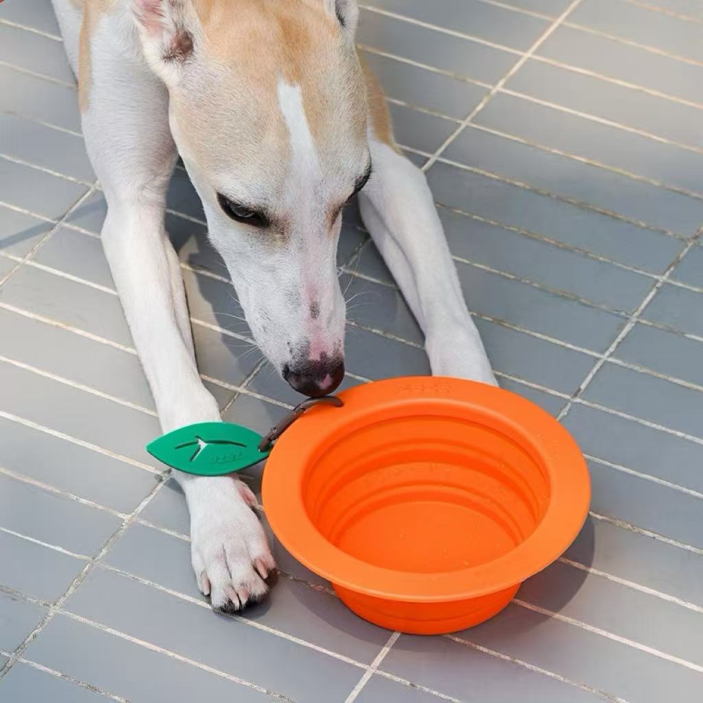 Silicone folding pet bowl