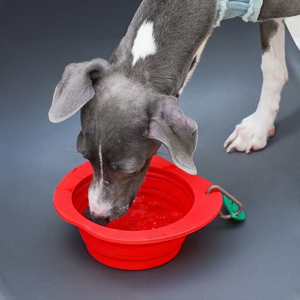 Silicone folding pet bowl