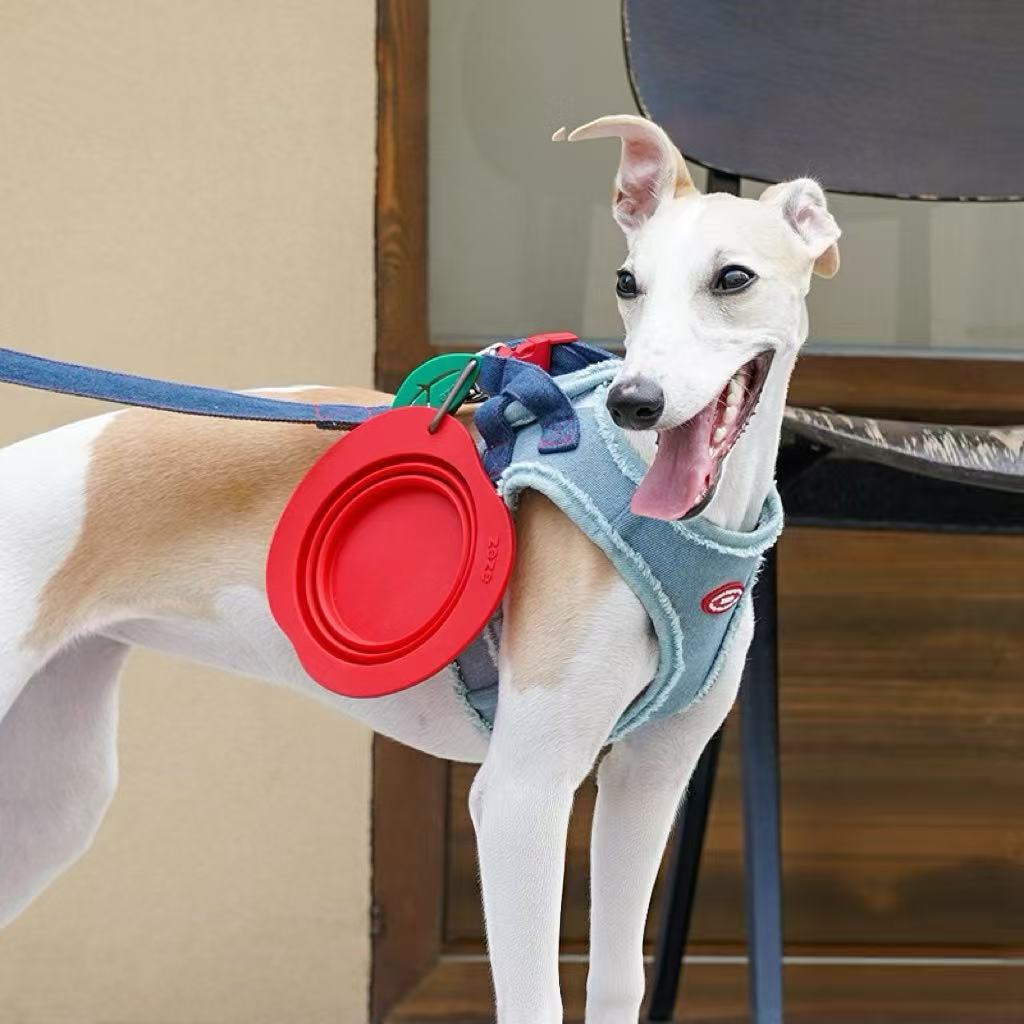 Silicone folding pet bowl