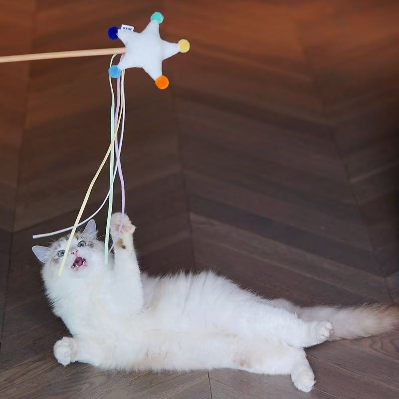 Star Cat Funny Stick