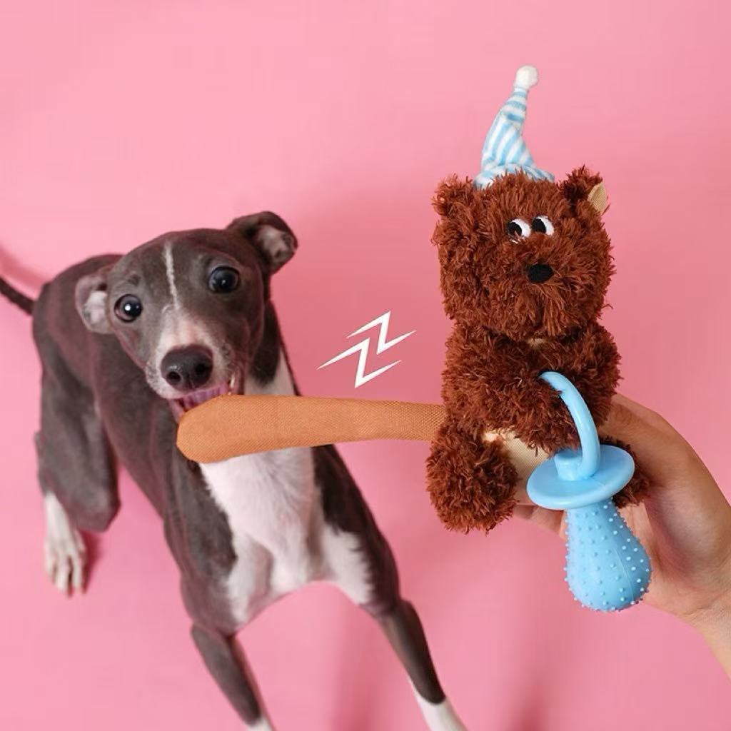 Dogs chewing on toys