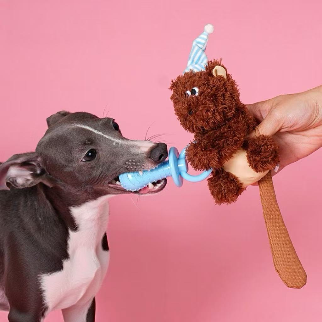 Dogs chewing on toys