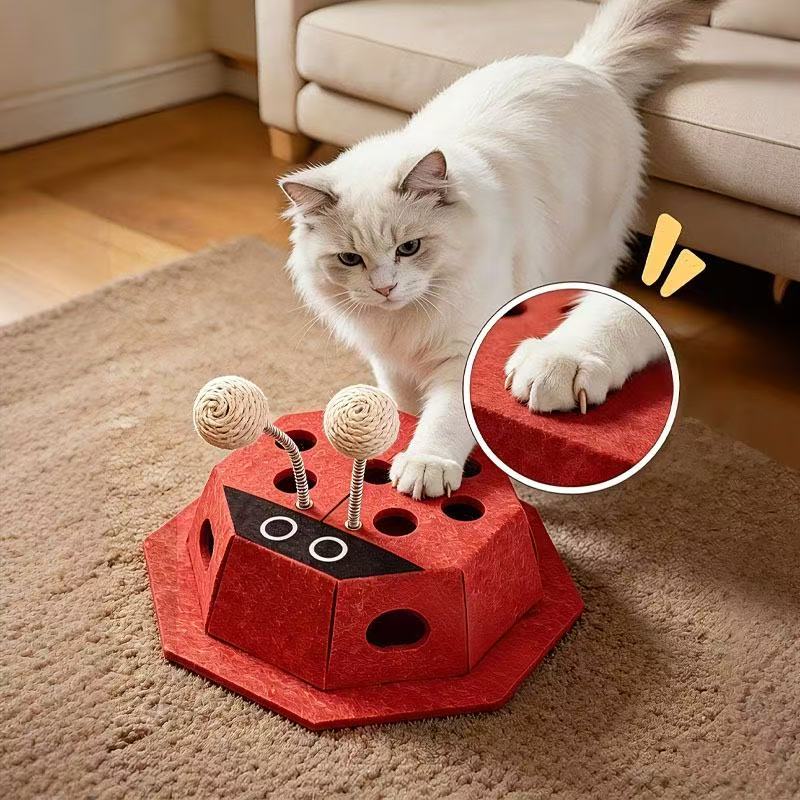 Educational Spring Toy Box — Seven-Spotted Ladybug (Cat Toy)