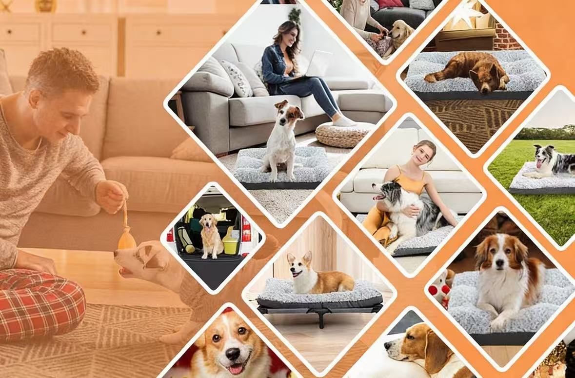 medium to large dog kennels