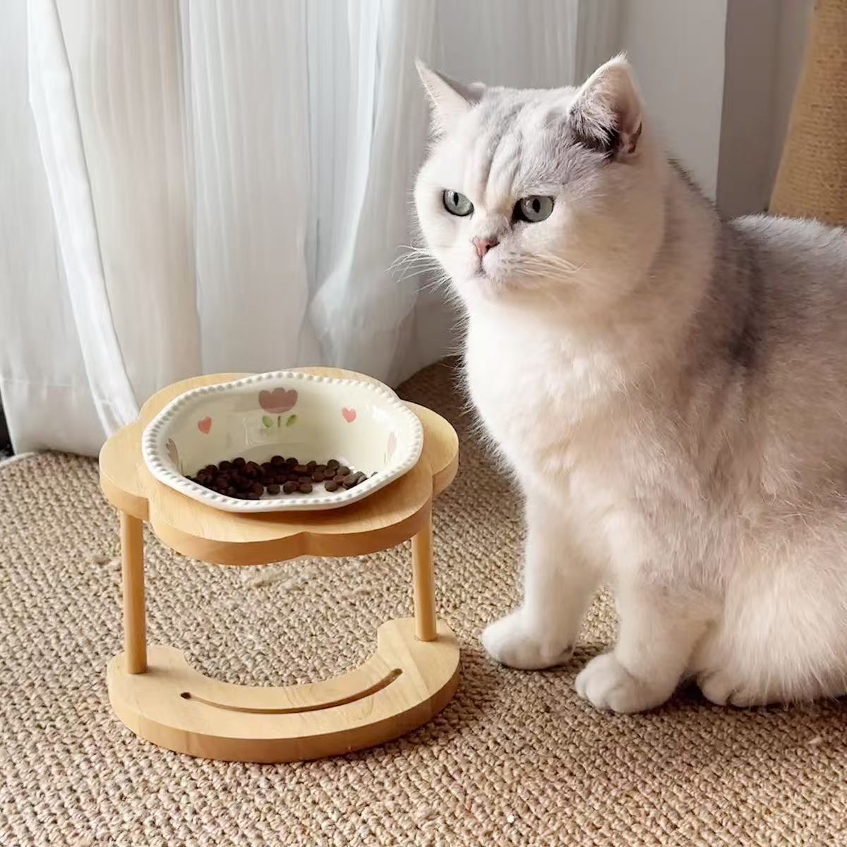 Natural Solid Wood Raised Cat Bowl Holder, 15° Slant Ergonomic Feeder Stand for Ceramic Cat Food Water Bowl, Neck Care Pet Feeding Station for Kitten Adult Cat