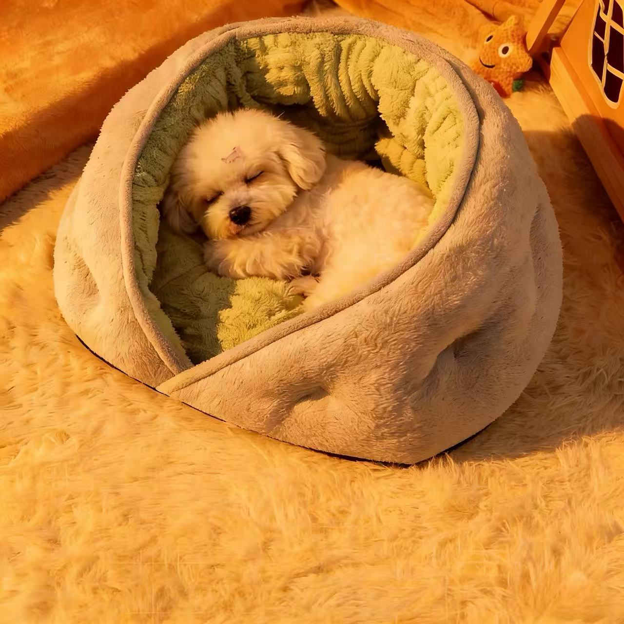 Semi-enclosed cat bed