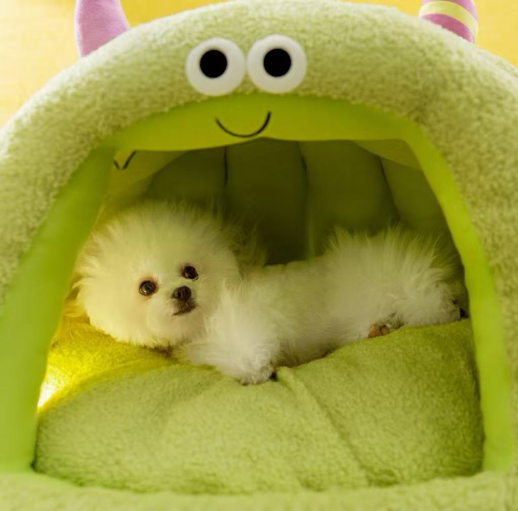 Pet bed