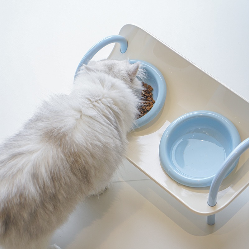 Elevated Ceramic Cat Bowls, Raised Tilt Double Pet Feeder Bowl, Anti-Spill Neck Protection Cat Food Water Bowl Cute Pastel Color