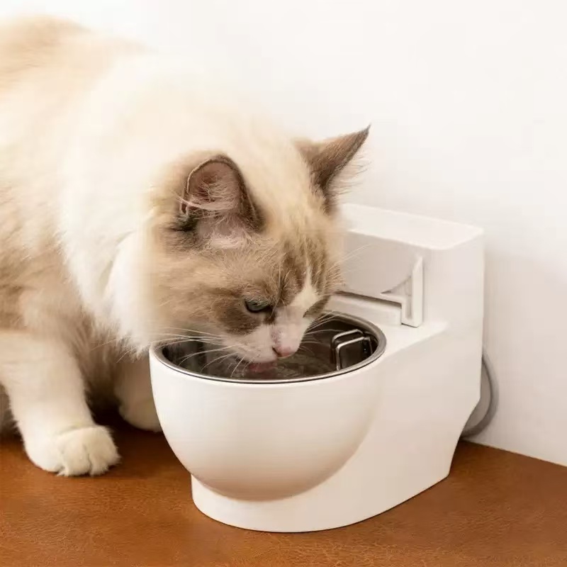Cat water bowl - toilet design