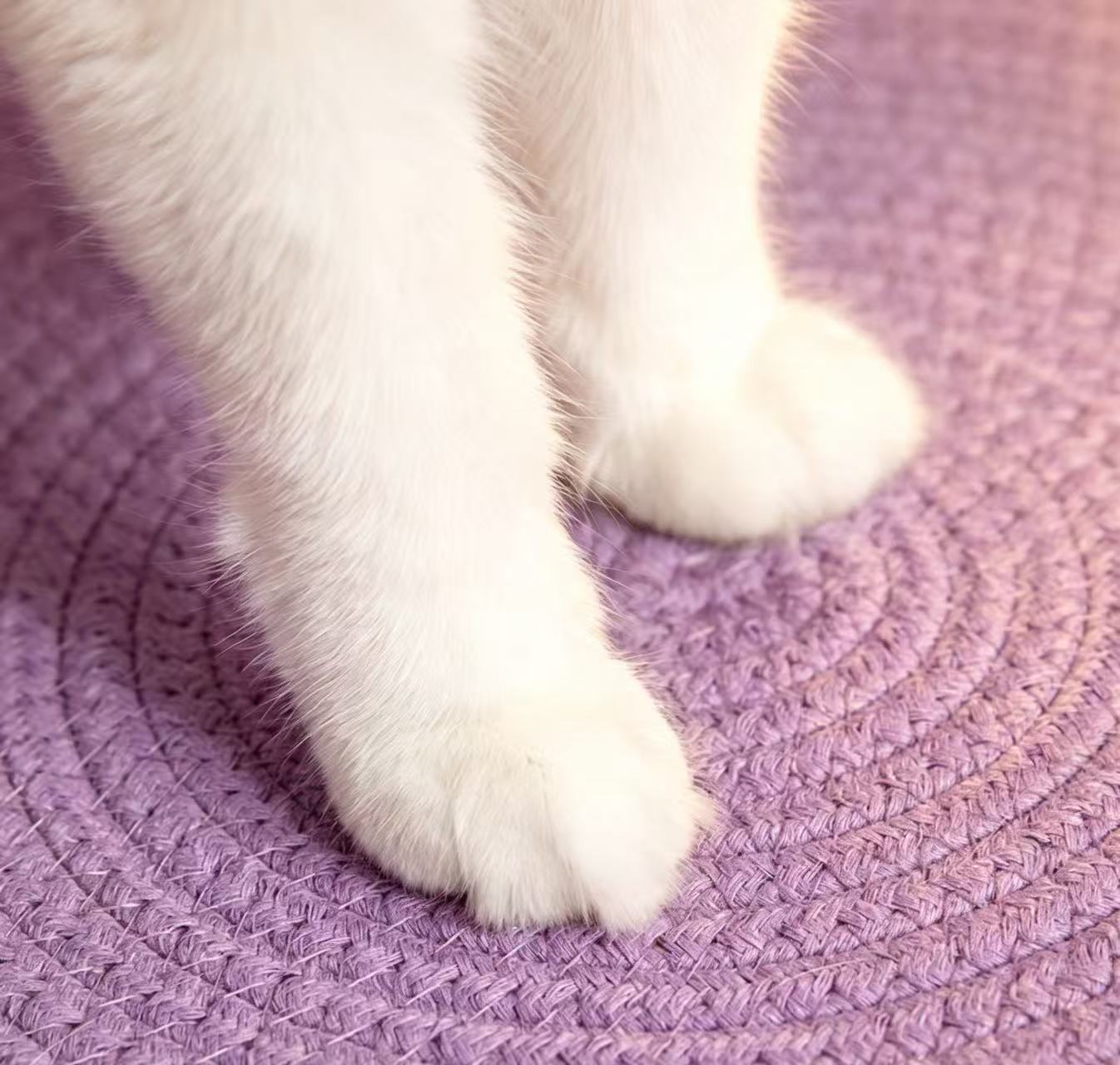 Hand-woven Rattan Cat Bed