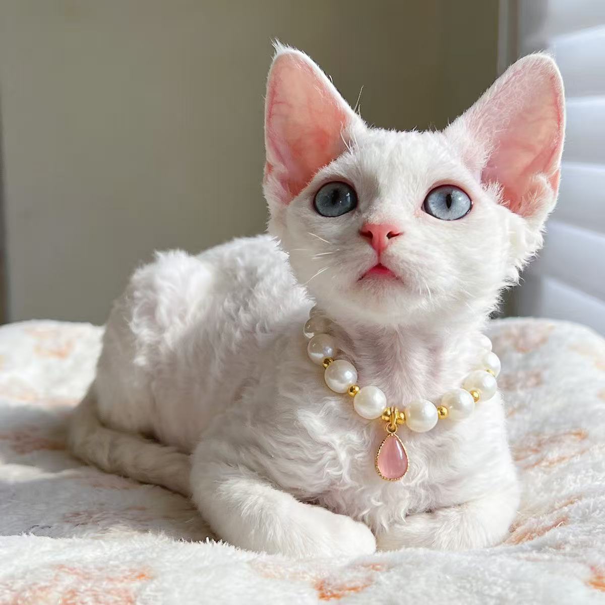 Vintage Princess Pearl Pet Necklace – Wedding & Photoshoot Pet Jewelry Accessory