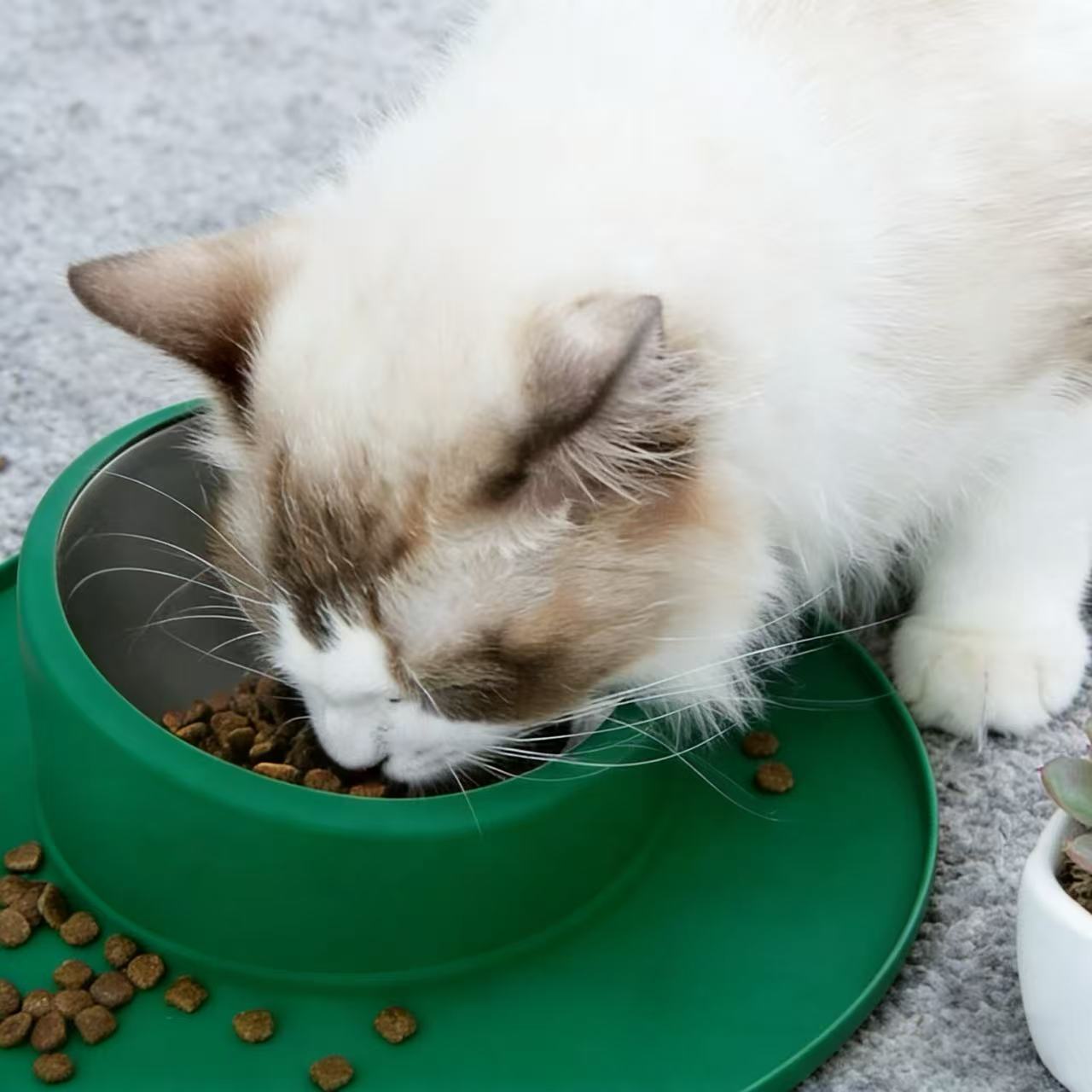 Cute anti-tipping cat bowls