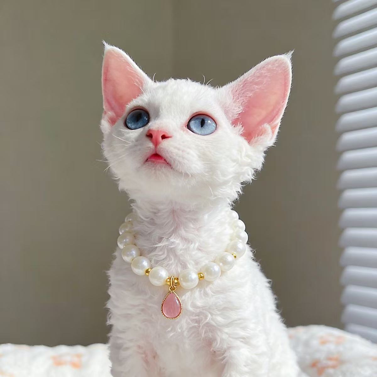 Vintage Princess Pearl Pet Necklace – Wedding & Photoshoot Pet Jewelry Accessory