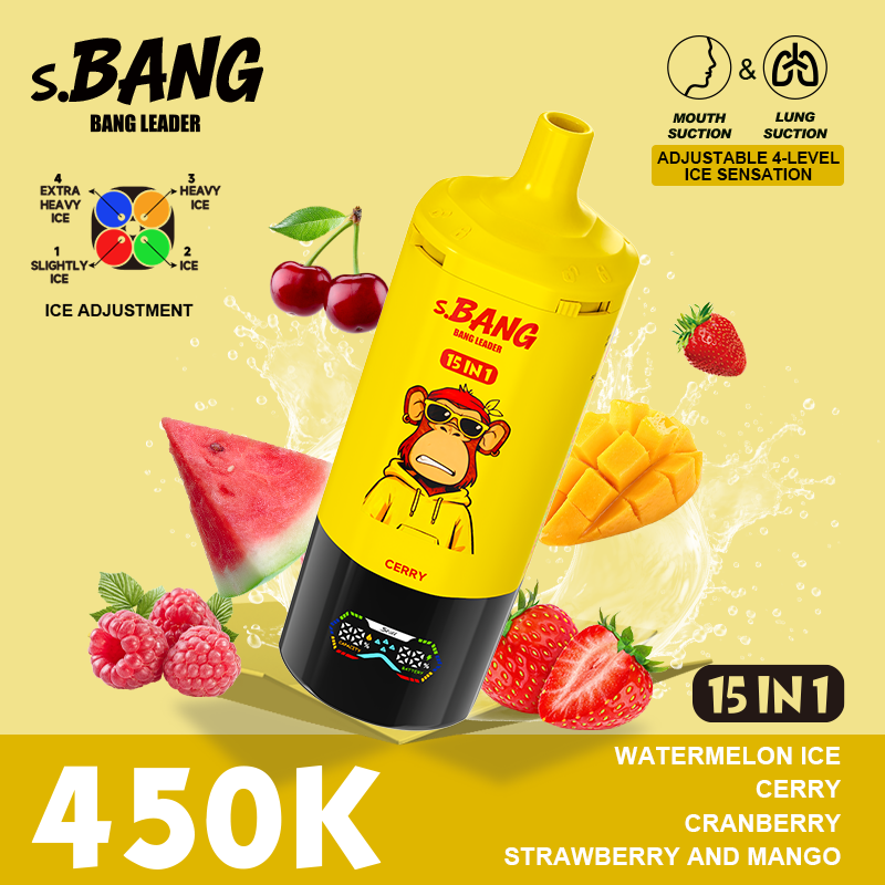Bang Leader 450K Puffs 15 in 1