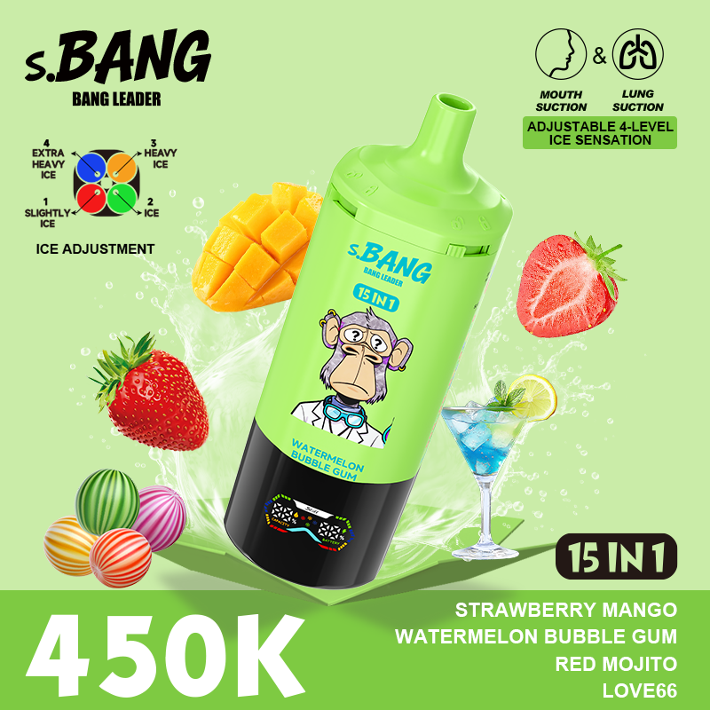 Bang Leader 450K Puffs 15 in 1