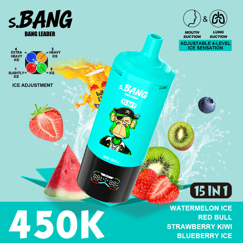 Bang Leader 450K Puffs 15 in 1